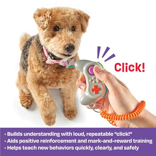 Brightkins Smarty Pooch Gamepad Training Clicker – Dog Training Clickers Brightkins Smarty Pooch Gamepad Training Clicker – Dog Training Clickers