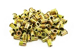 Astro Pneumatic Tool RN6M Stahl Nietmuttern, 100 Stück