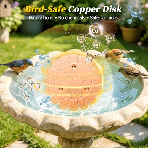 Disque de bain pour oiseaux en cuivre avec support trois points - 4