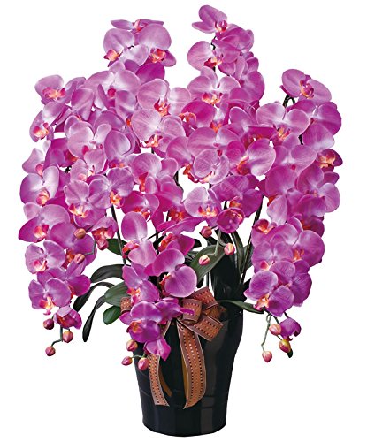 光触媒 造花 光の楽園 ロイヤル胡蝶蘭5本立L 446A300