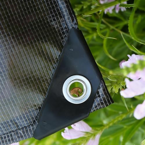 hV[g hwr[f[eB[ pObh^[v ACbgt 3.0m 3.5m 4.0m 4.5m 5m 5.5m 6m 6.5m ƒ؉AOALvALop^[|Jo[(,3x9.5m)