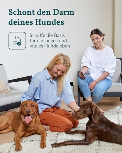 vetevo Allergietest Plus Hund, Unverträglichkeitstest Hunde, bei Juckreiz & Niesen, 360+ Futtermittel Unverträglichkeiten, Gräser, Pollen & Co