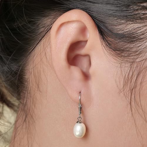 Limerencia G23 Titanium Leverback Earrings Dangle Drop Earrings for Women Fashion F136 Titanium Earrings Hypoallergenic Jewelry Gift2