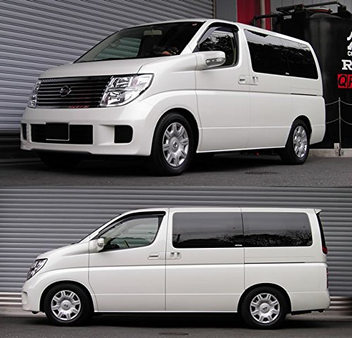 エルグランド　RS-Rダウンサス RSR RS-Rダウンサス/エルグランド(PE52)ライダー スーパーダウン