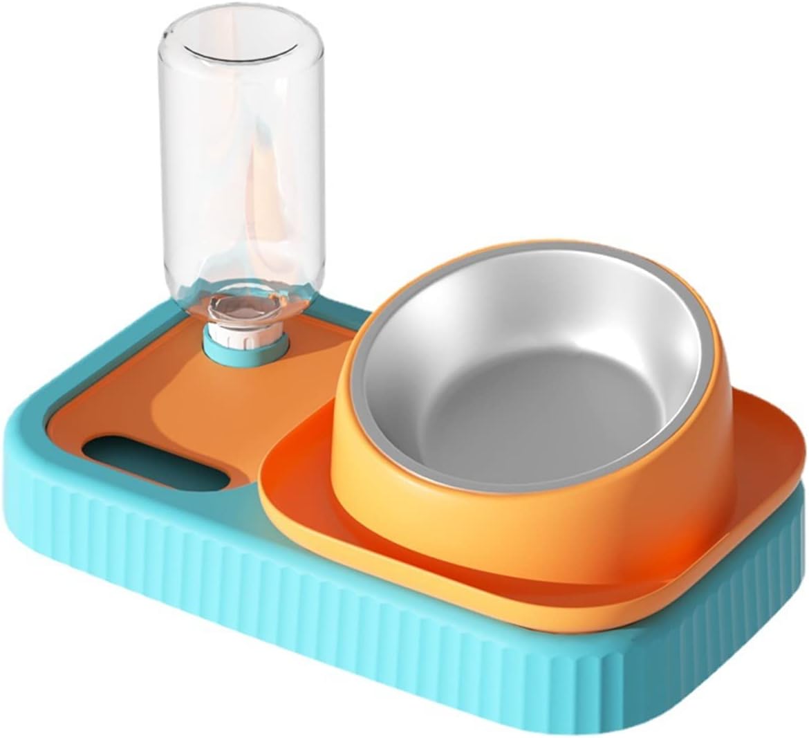 Buy LZL Cat Bowls Set Pet Slow Feeder with Stainless SteelTilted Cat Bowls with No Spill Raised