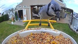 Review Image by Heather