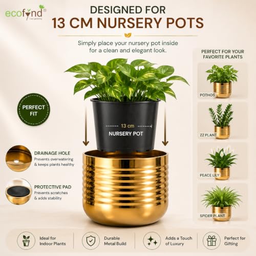 Image of ecofynd 1 Pack Metal Plant Pots (5 inch), Indoor Small Planter Flower Pots, Home Garden Decor Planter for Living Room Bedroom Interior (Gold Finish, POT052)