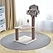 Catry Nirvana 3-Level Kitten Tree with Plush Perch, Soft Hammock, and Paper Rope Scratching Posts, Minimalist Cat Furniture for Climbing, Scratching & Resting, Ideal for Kittens & Small Cats, Beige