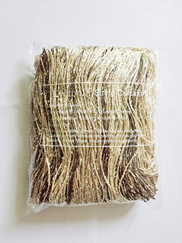 1x2 M Door String Curtain Rare Flat Thread Fringe Window Panel Room Divider Cute Strip Tassel for Wedding Coffee House Restaurant Parts (Coffee & Champagne)