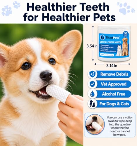Image of Pets Teeth & Ear Cleaning Finger Wipes - Pets Dental Wipes | Dogs & Cats Finger brush - Hypoallergenic, Unscented Cleaning & Oral Hygiene for Fresh Breath and Healthy Wipes (Ear,Teeth Combo)