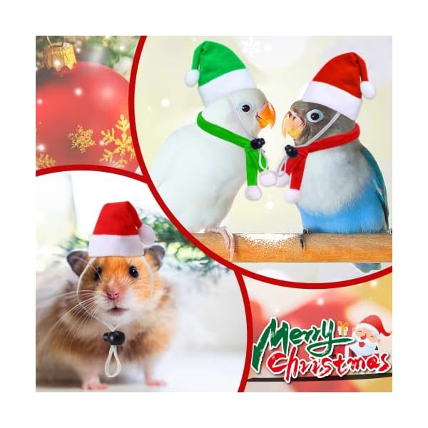 Junebrushs 12 pcs mini santa hats,christmas pet chicken hat scarf set red green small animal hat with adjustable for poultry hen rooster hamster duck lizard guinea pigs - image 6