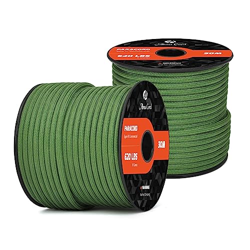 Abma Cord Paracord 620 lbs 4mm 9 Strands 100% Nylon 30M - Forest green, Solid-forest Green, 30 Meters