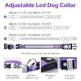 Leuchthalsband Hund Aufladbar, Hundehalsband Leuchtend, LED Halsband für Hunde Leuchtband Einstellbar Wasserdicht mit 3 Lichtmodi Sicherheit Hundehalsband für Kleine Mittlere Große Hunde, Lila-M
