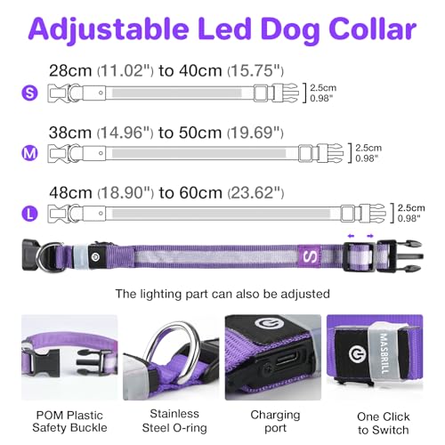 Leuchthalsband Hund Aufladbar, Hundehalsband Leuchtend, LED Halsband für Hunde Leuchtband Einstellbar Wasserdicht mit 3 Lichtmodi Sicherheit Hundehalsband für Kleine Mittlere Große Hunde, Lila-M