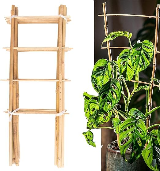 See full amazon price history chart for 5 Pack Natural Bamboo Trellis for Climbing Plants 24" Outdoor Garden Ladder Trellis, Fan -Shaped Plant Support Trellis for Potted Plant 5 Pack Natural Bamboo Trellis for Climbing Plants 24" Outdoor Garden Ladder Trellis, Fan -Shaped Plant Support Trellis for Potted Plant (B0CLM5JMWY) Amazon Price History, Amazon Price Tracker