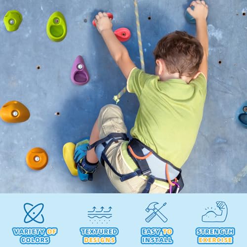 image for SREHRLY 20 PCS Rock Climbing Wall for Kids,Rock Wall Climbing Holds,Ad