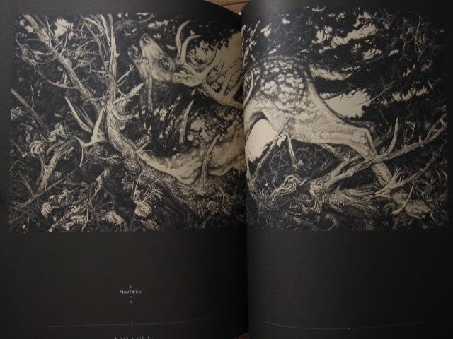 Vania Zouravliov画集 画集 VANIA Vania Zouravliov Amazon.co.jp: Vania Zouravliov