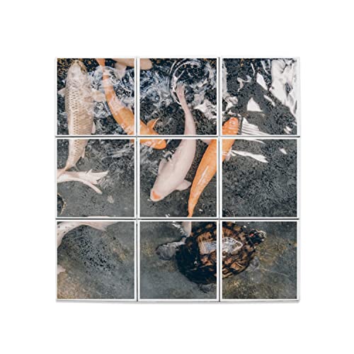 Carreaux Céramique Carpes Koi 60x60cm pour crédence cuisine