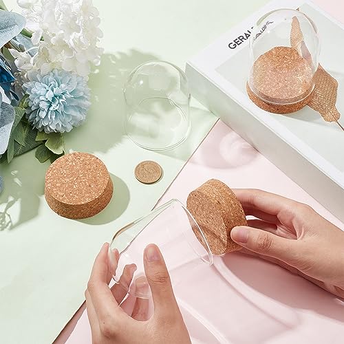 BENECREAT 4 Set Dome Display Glass Jar with Cork - Image 3