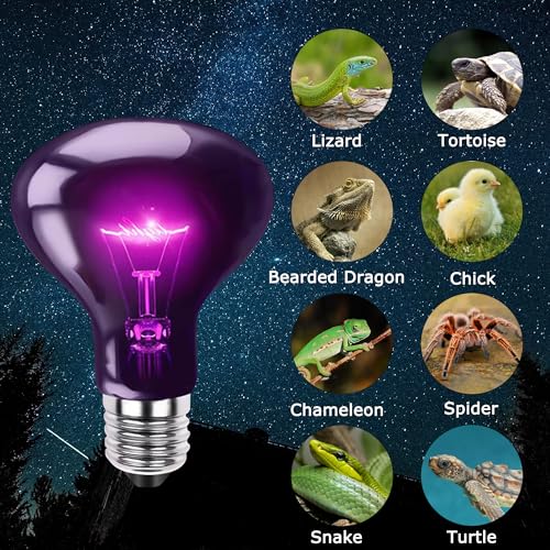 Image of 100W Reptile Moonlight Heat Lamp, Purple Night Basking Bulb | Creates a Natural Nighttime Environment, Perfect for Night Viewing of Reptiles & Amphibians, Ideal for Terrarium Habitats