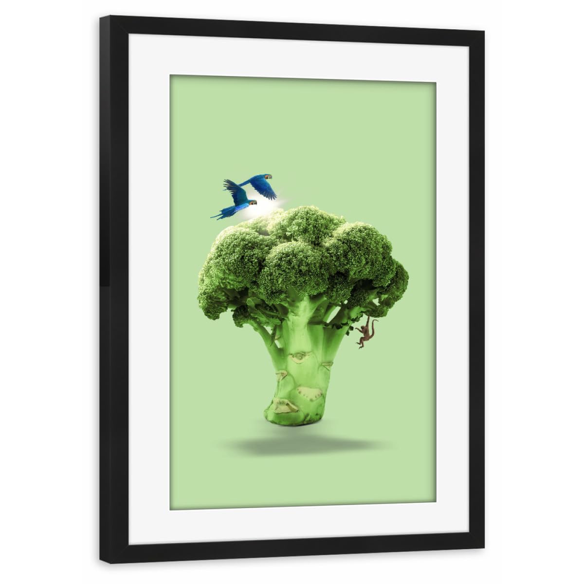 artboxONE Poster mit Rahmen schwarz 75x50 cm Brokkoli-Wald von Jonas Loose - gerahmtes Poster