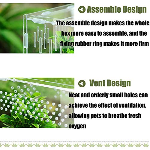 Yezytech Reptiel-voederdoos, insectenvoederdoos, acryl 360 graden transparante reptielkweekbox, insectenvoeder, huis… - Afbeelding 5