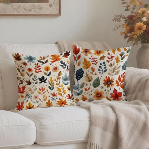 Housse coussin 65x65cm imperméable anti-tache | Solution canapé et extérieur lot de 2