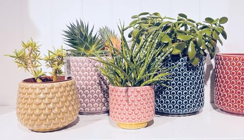 Nordring Stoneware Flower Pot – 6’’ Rose Planter with Polka Dots – Modern Ceramic Pot with Crackle Glaze – No Drainage Holes – Holds 5’’ Indoor Plant by Nordring - Used condition - Image 2