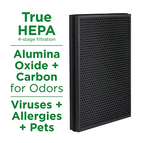 True HEPA Air Purifier for Allergies