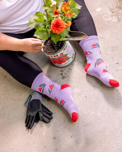 Wide Open Crew Socks for Women – Merino Wool, Comfortable Cotton Blend High Long Socks for Everyday Wear (9507)2