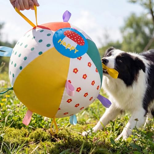 Balle de berger pour chien grand format et gonflable pour le fetch - 4