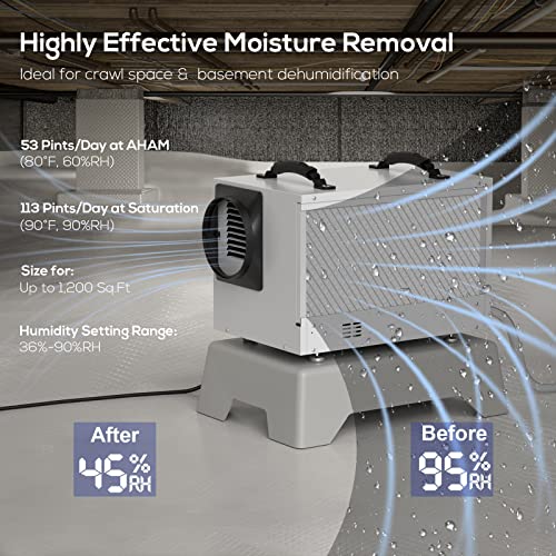 Baseaire Basement Crawl Space Dehumidifier 113 Pint With Continuous Drain Hose, Compact Commercial Industrial Home Dehumidifiers For Basements Crawlspace Garage Attic Whole House, 5 Years Warranty #TOP1