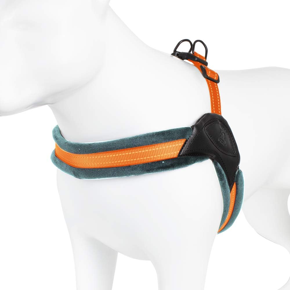 AVALANCHE - Teal Padded Dog Harness with Reflective Strips (Small) | No Pull Walking Harness for Small, Medium & Large Dog Breeds |…