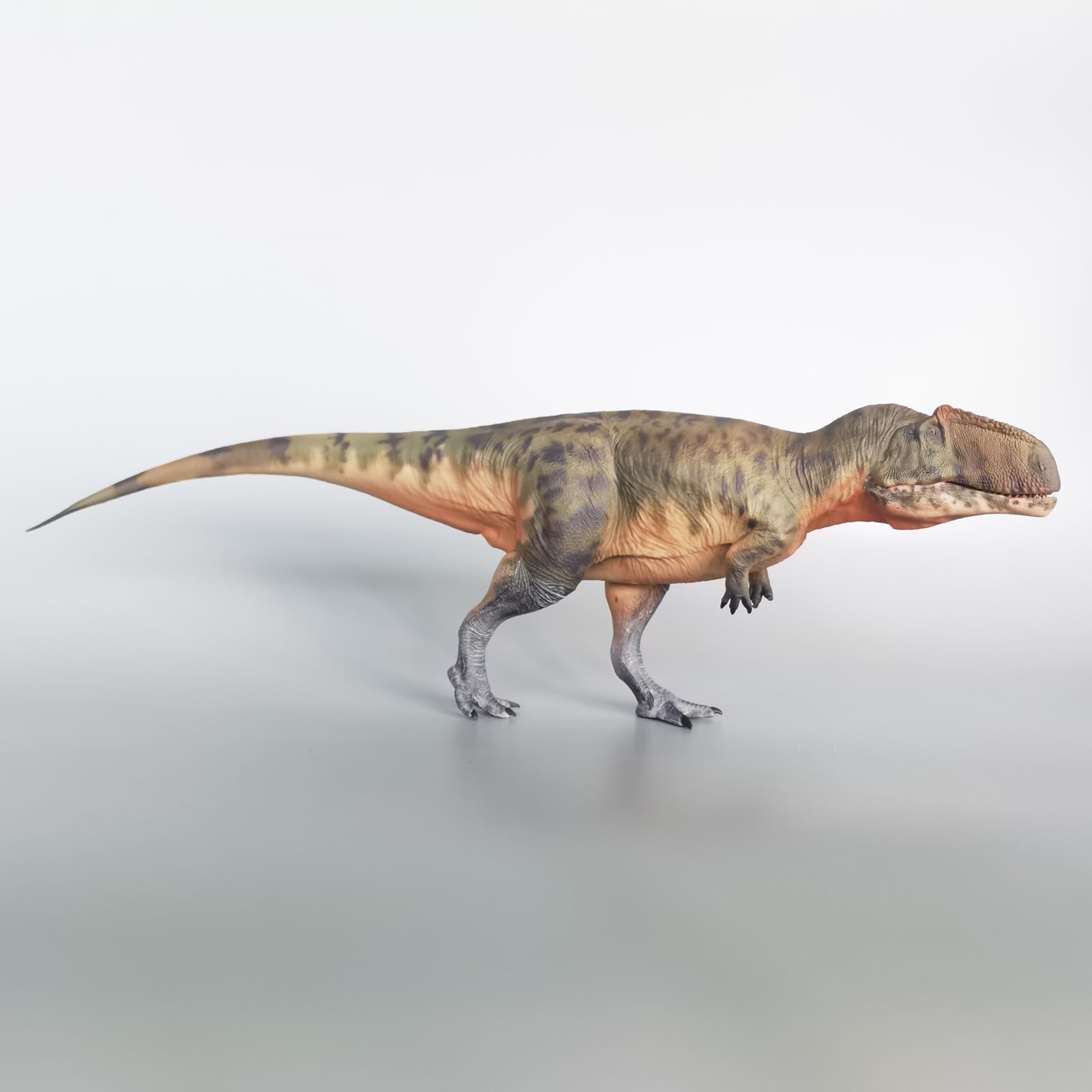 Haolonggood Giganotosaure Échelle 1:35 Modèle animal préhistorique mâchoire mobile