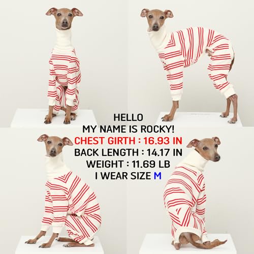 D Doggy Star Roupas de galgo italiano macio elástico macacão listrado refinado whippet para casaco d
