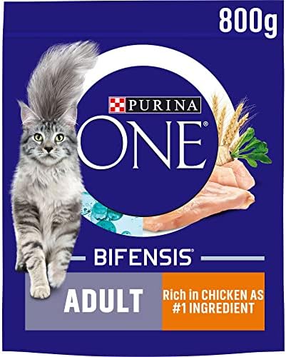 Purina ONE Adult Dry Cat Food Rich in Salmon 800g (Case of 4)