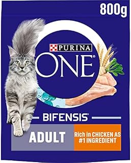 Purina ONE Adult Dry Cat Food Rich in Salmon 800g (Case of 4)