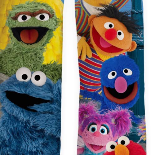 Image of BRIEF INSANITY Sesame Street Character Pajama Pants for Men & Women - Soft Loose-Fit Lounge Bottoms with Side Pockets