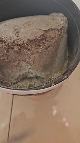 Vitax Buxus Engrais 5kg Pour Haies Et Conteneurs - Libération Prolongée D'Azote, Croissance Saine Et Feuillage Vert Vibrant