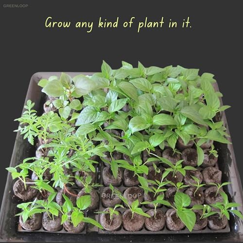 Image of GREENLOOP Cocopeat Coins | Jiffy Plug for Seeds| 40mm Size| 25 Coir Coins | Optimum to grow Seed into plant seedlings, Diameter 4 cms, Height 1cms, Expands 5X when soaked in water, bio-degradable