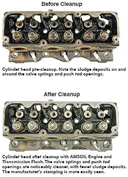 Amsoil ENG & Trans Flush