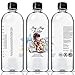 Bay Bay Water - Purified Distilled Water for Babies - 16.9 oz. - Use for Everyday Drinking, Infant Formula, Milk, and Baby Cereal - BPA Free - No Fluoride, Phosphate - Prevent Mineral Overload - (12)