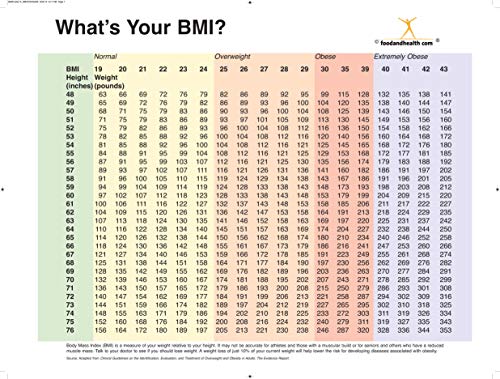 Nutrition Education Store BMI Chart Poster - BMI Index - Two Sided