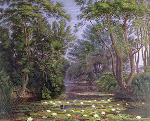Toile sans cadre Rivière Cherwell Waterlilies habiller grand mur nu