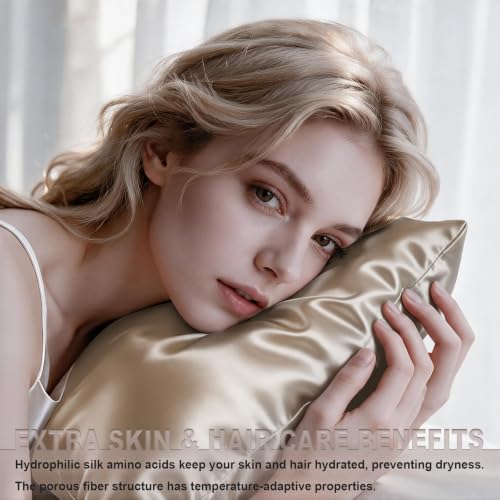 Image of LYSHIN Silk Pillow Cases 2 Pack Queen Size with Zipper, Champagne | 19 Momme Mulberry Silk Pillowcase for Skin and Hair, Anti-Acne, Hypoallergenic, Cooling, Beauty Sleep, Gifts for Women