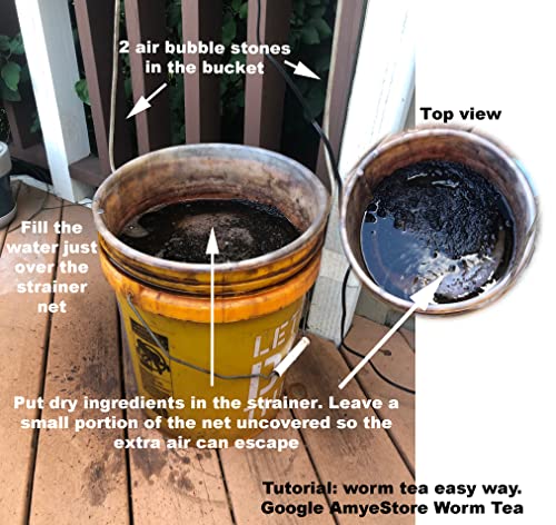 Hipgirl Asian Gourd Seeds For Planting Vegetables And Fruits.vegetable Seeds At Home Vegetable Garden And Hydroponics Seed Pods-Bitter Melon Seeds (10Ct Bitter Gourd, Green Skin) #TOP5