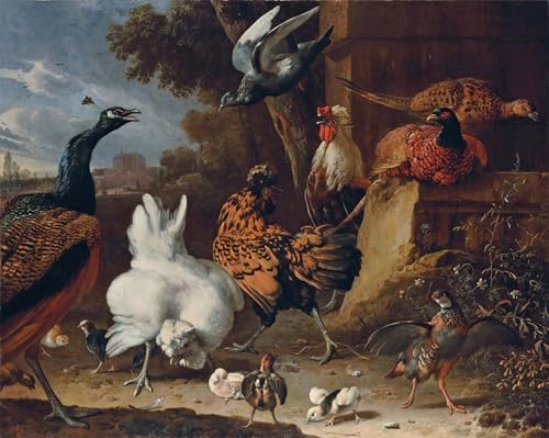 Un coq des poules des poussins affiche 60x90cm contre les murs vides