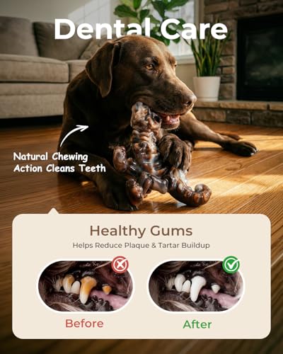 DinoBone 2-Pack Tough Dog Chew Toys for Aggressive Chewers, Rock-Hard Nylon - image 7