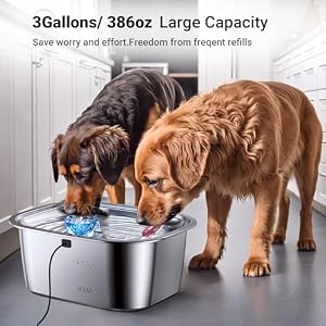 Stainless Steel Dog Water Fountain,3 Gallon Large Pet Water Fountains for Dogs and Cats, 11L /386oz Dog Water Bowl Dispenser w/Filter Drinking Bowls Indoor, Cat Founatin Quiet Pump, Easy to Use Stainless Steel Dog Water Fountain,3 Gallon Large Pet Water Fountains for Dogs and Cats, 11L /386oz Dog Water Bowl Dispenser w/Filter Drinking Bowls Indoor, Cat Founatin Quiet Pump, Easy to Use