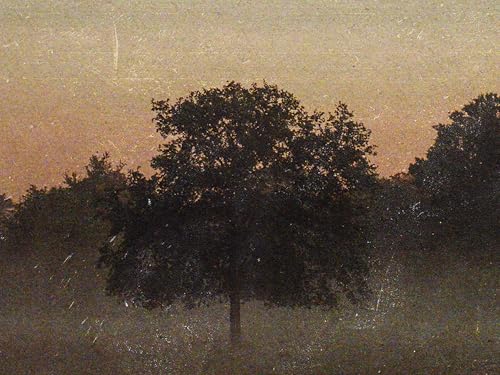 Stewart Park Quartet